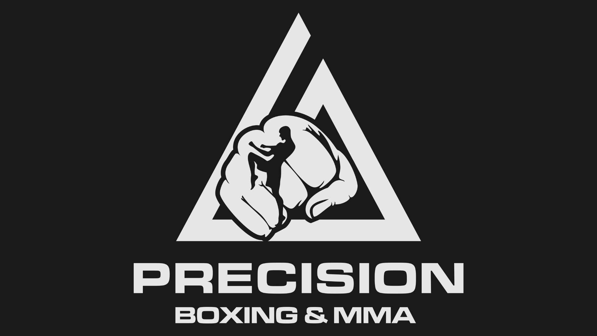 Precision Boxing and MMA